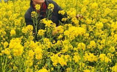 午夜福利不卡片在线机免费视频